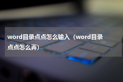 word目录点点怎么输入（word目录点点怎么弄）
