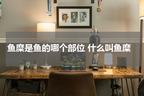 鱼糜是鱼的哪个部位 什么叫鱼糜
