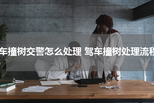 驾车撞树交警怎么处理 驾车撞树处理流程