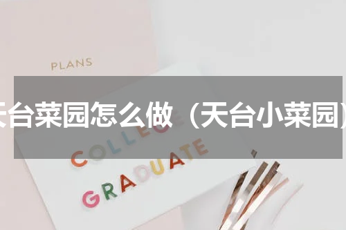 天台菜园怎么做（天台小菜园）