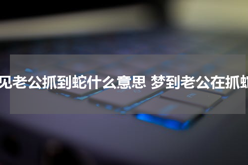 梦见老公抓到蛇什么意思 梦到老公在抓蛇