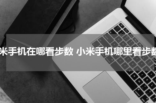 小米手机在哪看步数 小米手机哪里看步数
