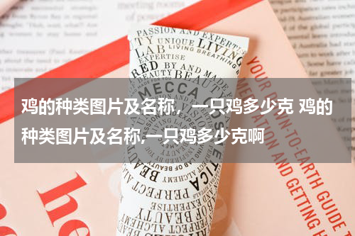 鸡的种类图片及名称，一只鸡多少克 鸡的种类图片及名称,一只鸡多少克啊