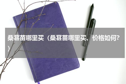 桑葚苗哪里买（桑葚苗哪里买、价格如何?）