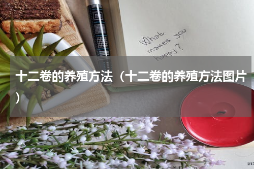 十二卷的养殖方法（十二卷的养殖方法图片）