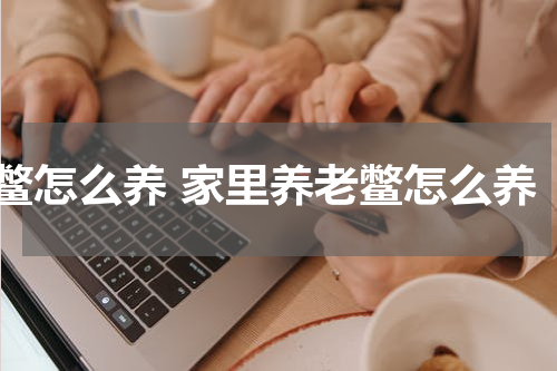 鳖怎么养 家里养老鳖怎么养