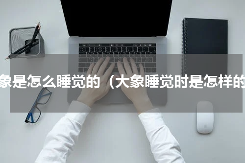 大象是怎么睡觉的（大象睡觉时是怎样的）