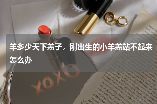 羊多少天下羔子，刚出生的小羊羔站不起来怎么办