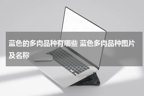 蓝色的多肉品种有哪些 蓝色多肉品种图片及名称