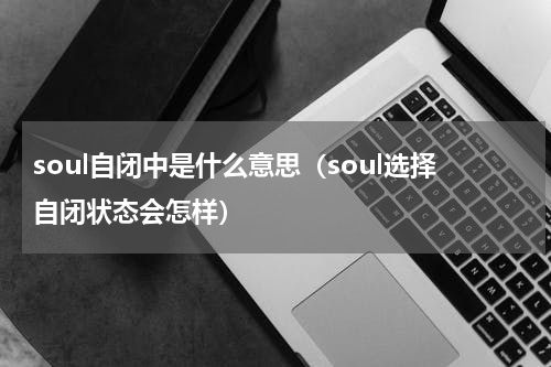 soul自闭中是什么意思（soul选择自闭状态会怎样）