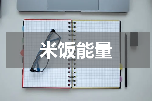 米饭能量