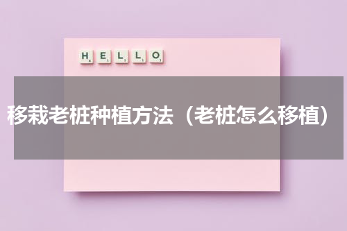 移栽老桩种植方法（老桩怎么移植）
