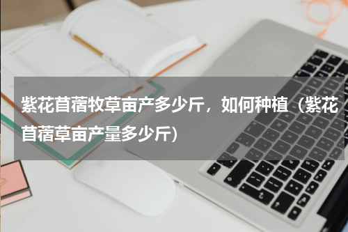 紫花苜蓿牧草亩产多少斤，如何种植（紫花苜蓿草亩产量多少斤）