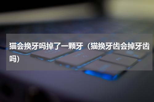 猫会换牙吗掉了一颗牙（猫换牙齿会掉牙齿吗）