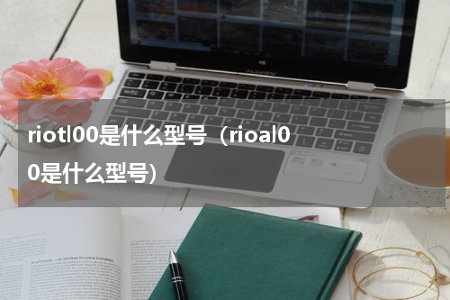 riotl00是什么型号（rioal00是什么型号）