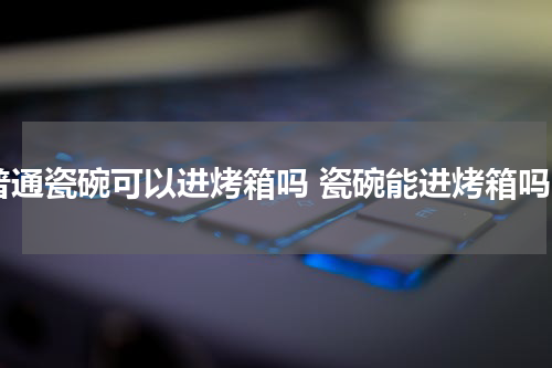 普通瓷碗可以进烤箱吗 瓷碗能进烤箱吗