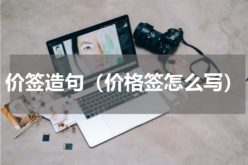 价签造句（价格签怎么写）