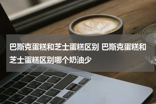 巴斯克蛋糕和芝士蛋糕区别 巴斯克蛋糕和芝士蛋糕区别哪个奶油少