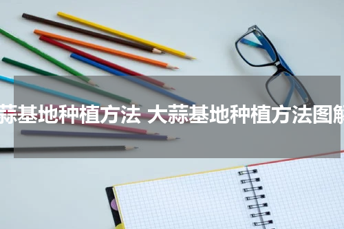 大蒜基地种植方法 大蒜基地种植方法图解