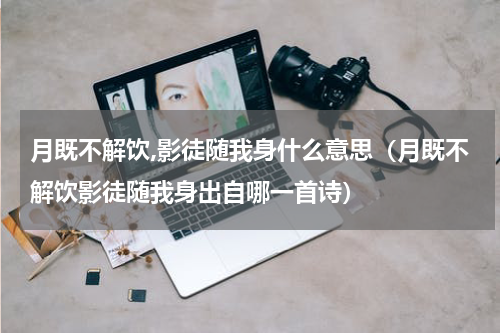 月既不解饮,影徒随我身什么意思（月既不解饮影徒随我身出自哪一首诗）