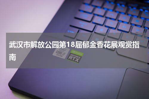 武汉市解放公园第18届郁金香花展观赏指南