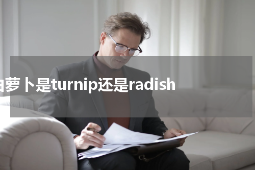 白萝卜是turnip还是radish