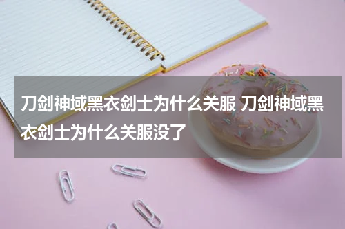 刀剑神域黑衣剑士为什么关服 刀剑神域黑衣剑士为什么关服没了