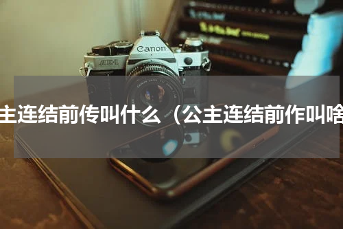 公主连结前传叫什么（公主连结前作叫啥）