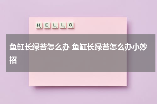 鱼缸长绿苔怎么办 鱼缸长绿苔怎么办小妙招