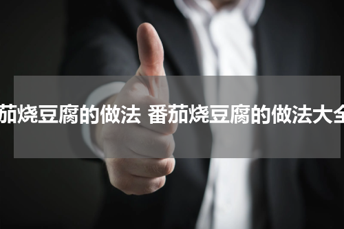 番茄烧豆腐的做法 番茄烧豆腐的做法大全