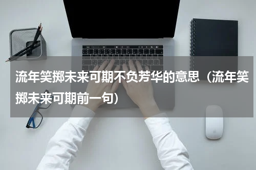 流年笑掷未来可期不负芳华的意思（流年笑掷未来可期前一句）