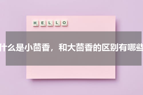 什么是小茴香，和大茴香的区别有哪些