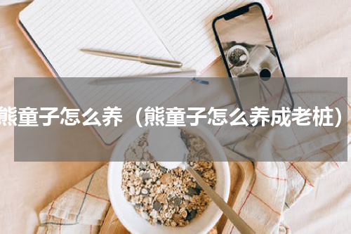 熊童子怎么养（熊童子怎么养成老桩）