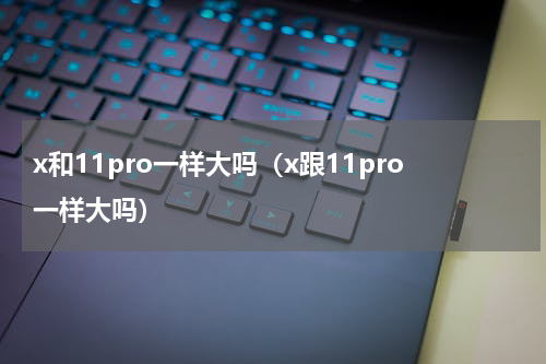 x和11pro一样大吗（x跟11pro一样大吗）