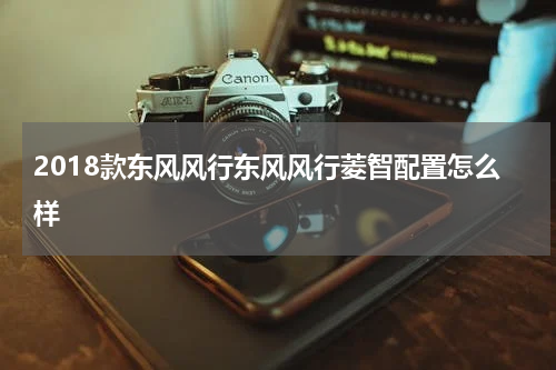 2018款东风风行东风风行菱智配置怎么样