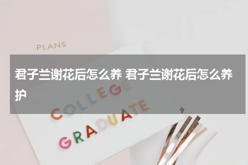 君子兰谢花后怎么养 君子兰谢花后怎么养护