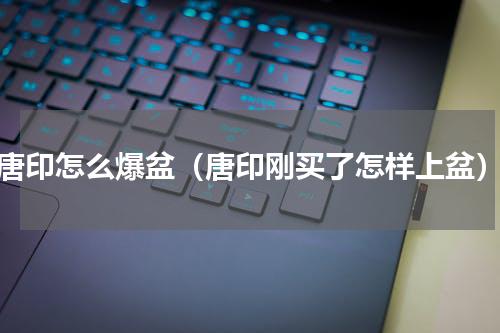 唐印怎么爆盆（唐印刚买了怎样上盆）