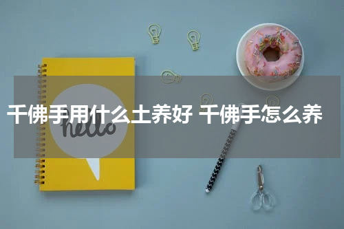 千佛手用什么土养好 千佛手怎么养