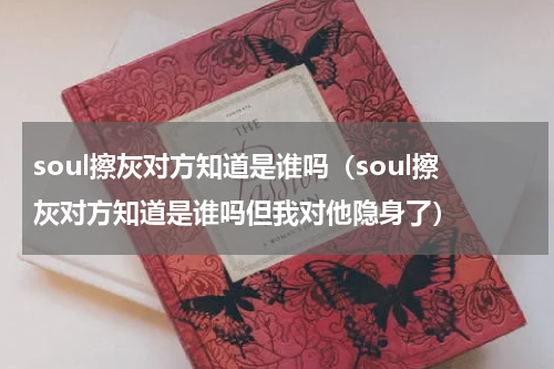 soul擦灰对方知道是谁吗（soul擦灰对方知道是谁吗但我对他隐身了）