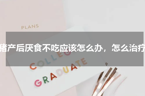 母猪产后厌食不吃应该怎么办，怎么治疗?