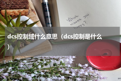 dcs控制域什么意思（dcs控制是什么）