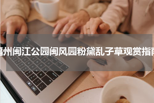 福州闽江公园闽风园粉黛乱子草观赏指南