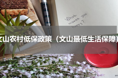文山农村低保政策（文山最低生活保障）