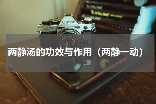 两静汤的功效与作用（两静一动）