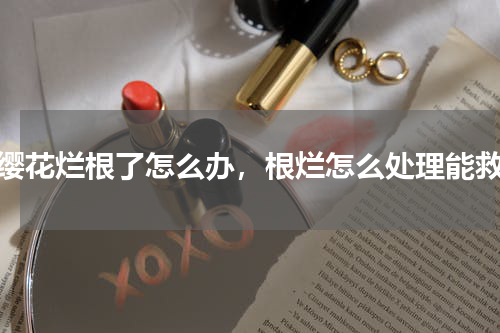 朱缨花烂根了怎么办，根烂怎么处理能救活