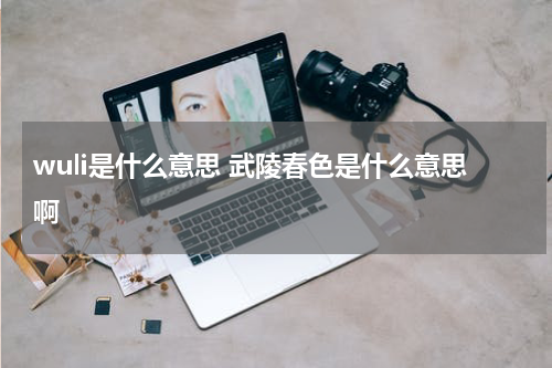 wuli是什么意思 武陵春色是什么意思啊