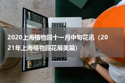 2020上海植物园十一月中旬花讯（2021年上海植物园花展美篇）
