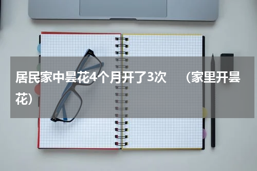 居民家中昙花4个月开了3次　（家里开昙花）