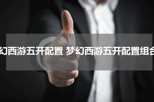 梦幻西游五开配置 梦幻西游五开配置组合