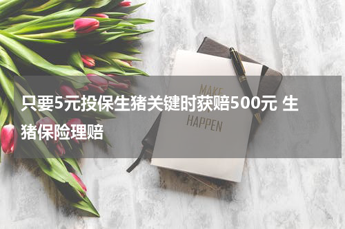 只要5元投保生猪关键时获赔500元 生猪保险理赔